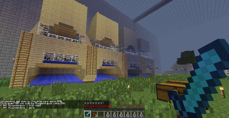 Screenshot of Minecraft