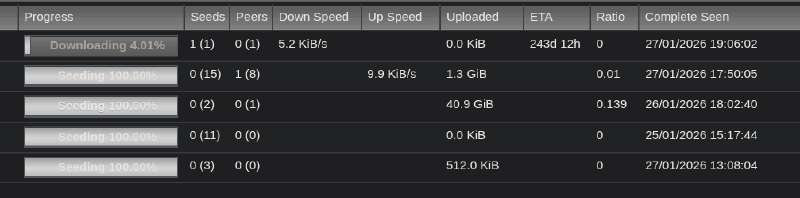 Screenshot of torrents